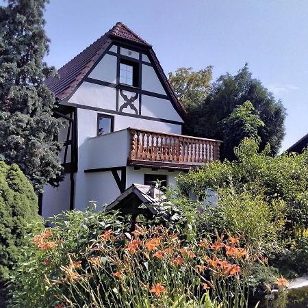 Appartamento Pusteblume Groitzsch Esterno foto