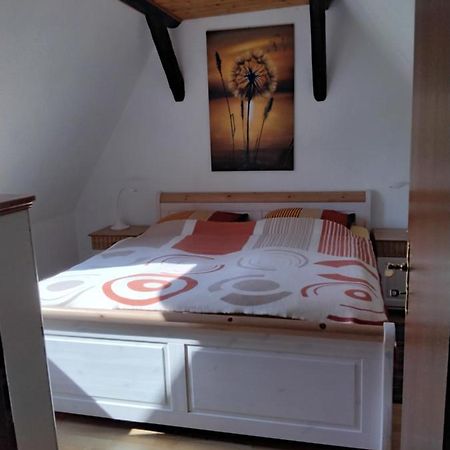 Appartamento Pusteblume Groitzsch Esterno foto