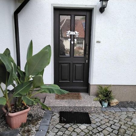 Appartamento Pusteblume Groitzsch Esterno foto
