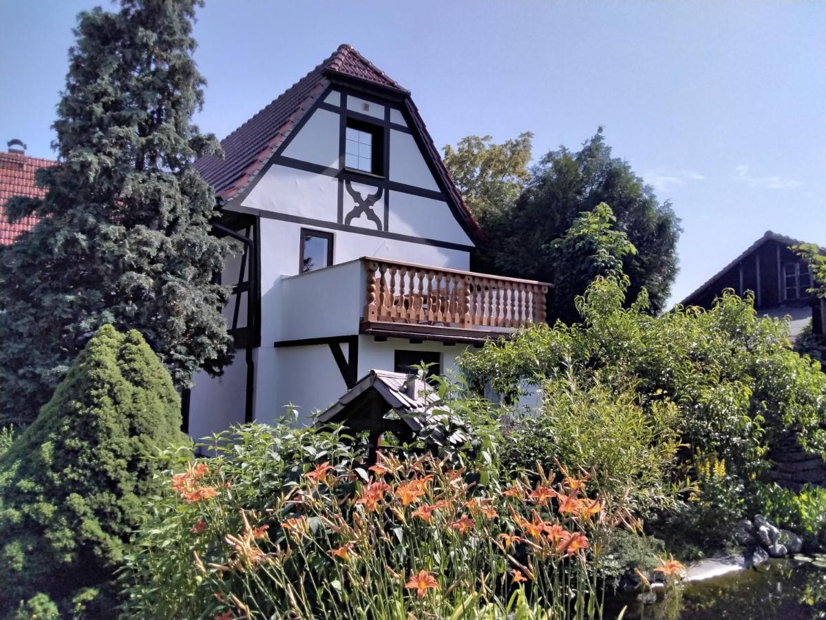 Appartamento Pusteblume Groitzsch Esterno foto