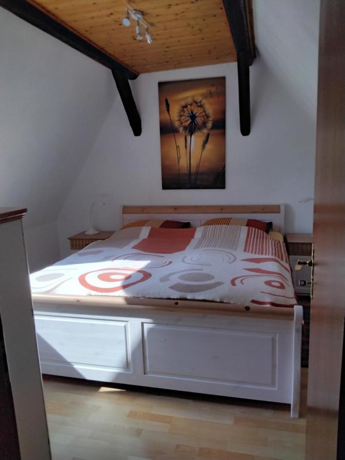 Appartamento Pusteblume Groitzsch Esterno foto