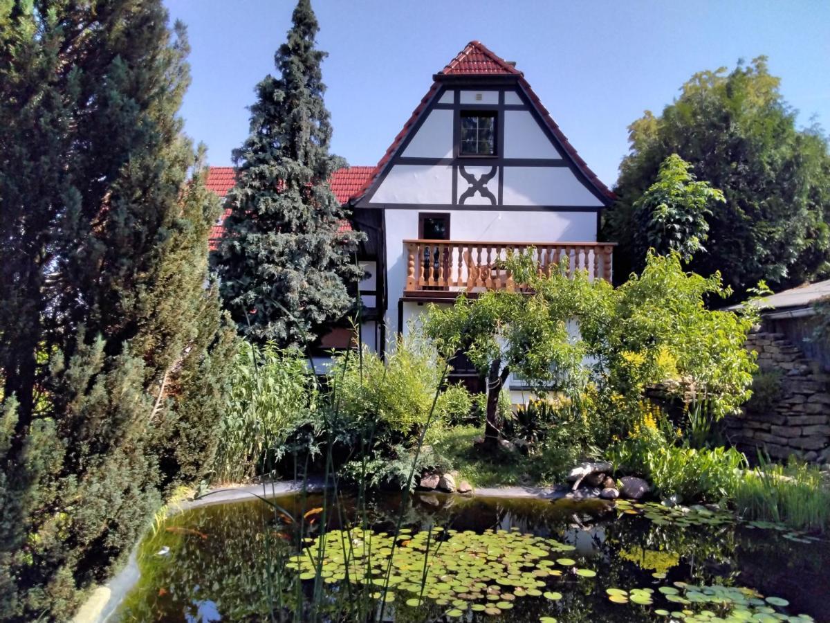 Appartamento Pusteblume Groitzsch Esterno foto