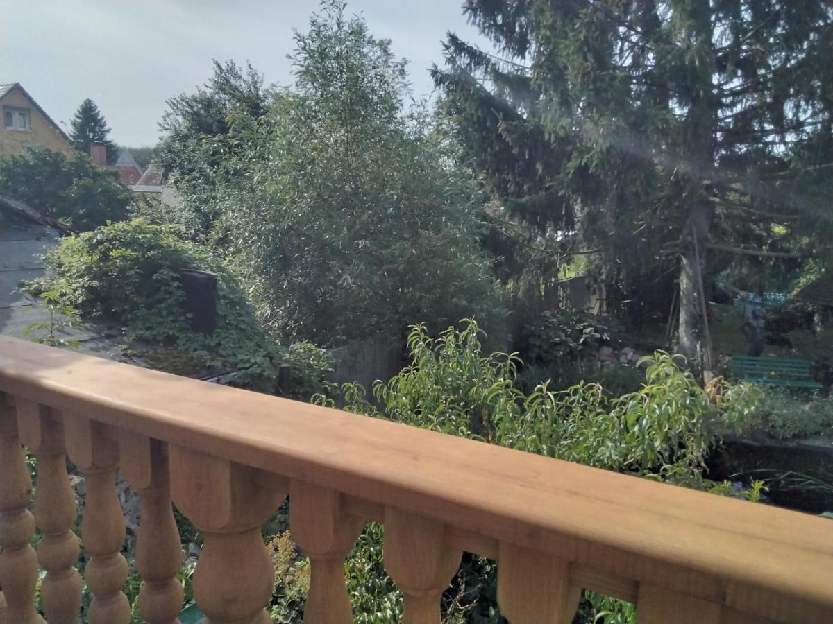 Appartamento Pusteblume Groitzsch Esterno foto