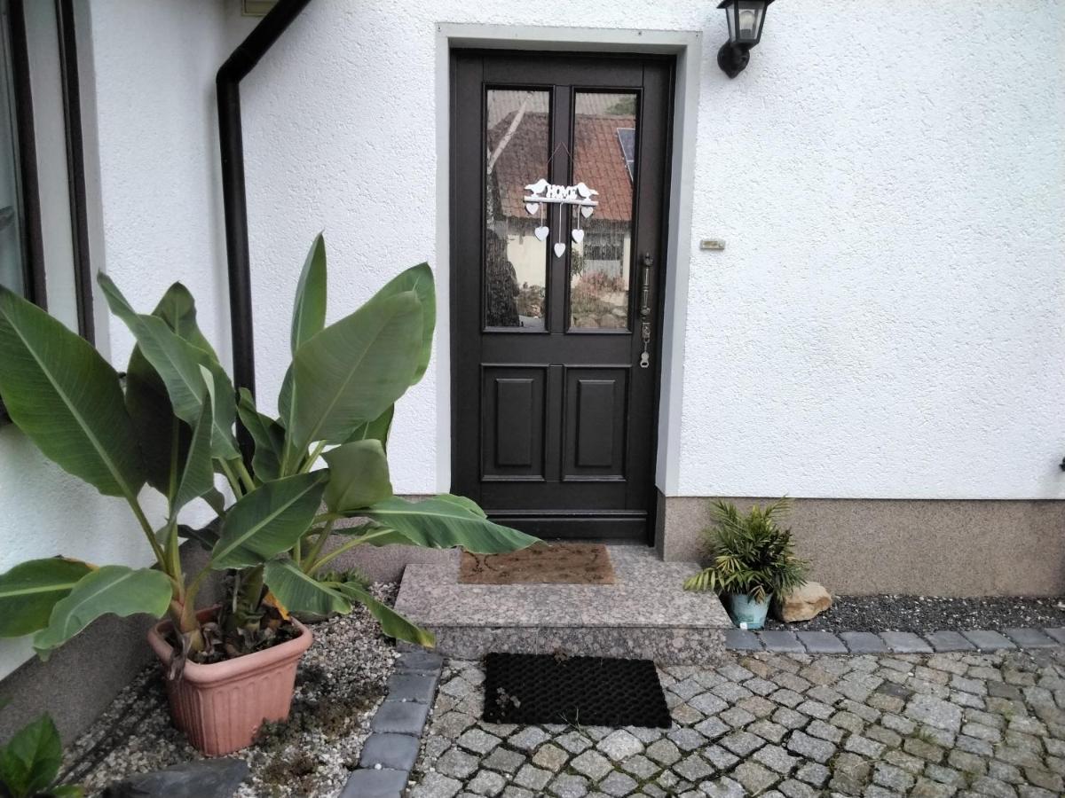 Appartamento Pusteblume Groitzsch Esterno foto