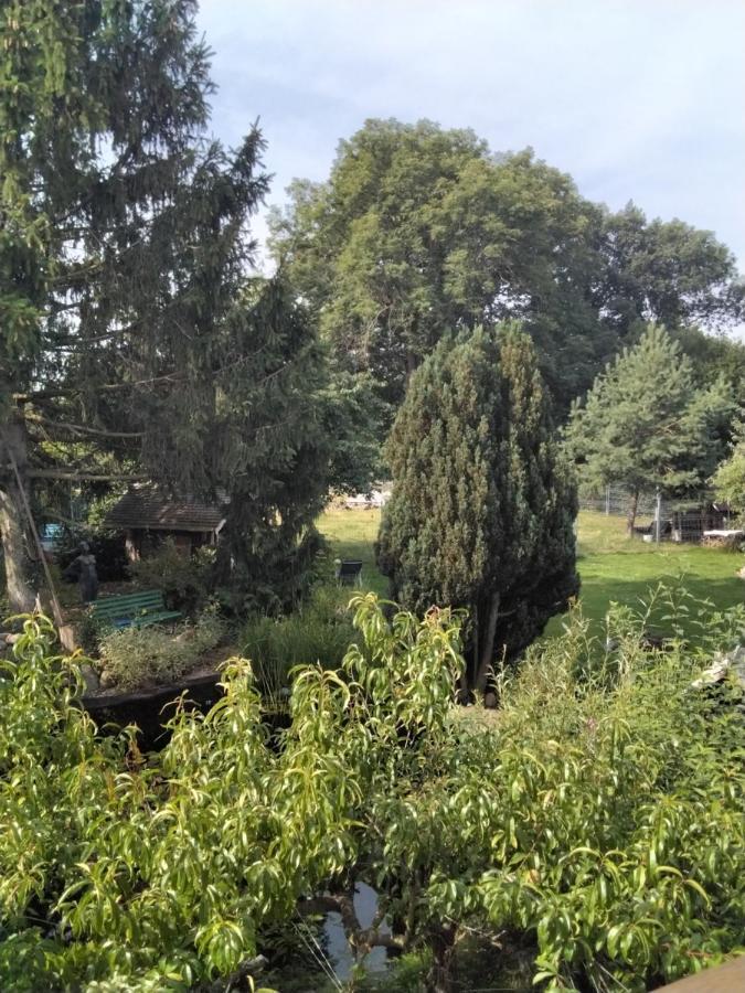 Appartamento Pusteblume Groitzsch Esterno foto